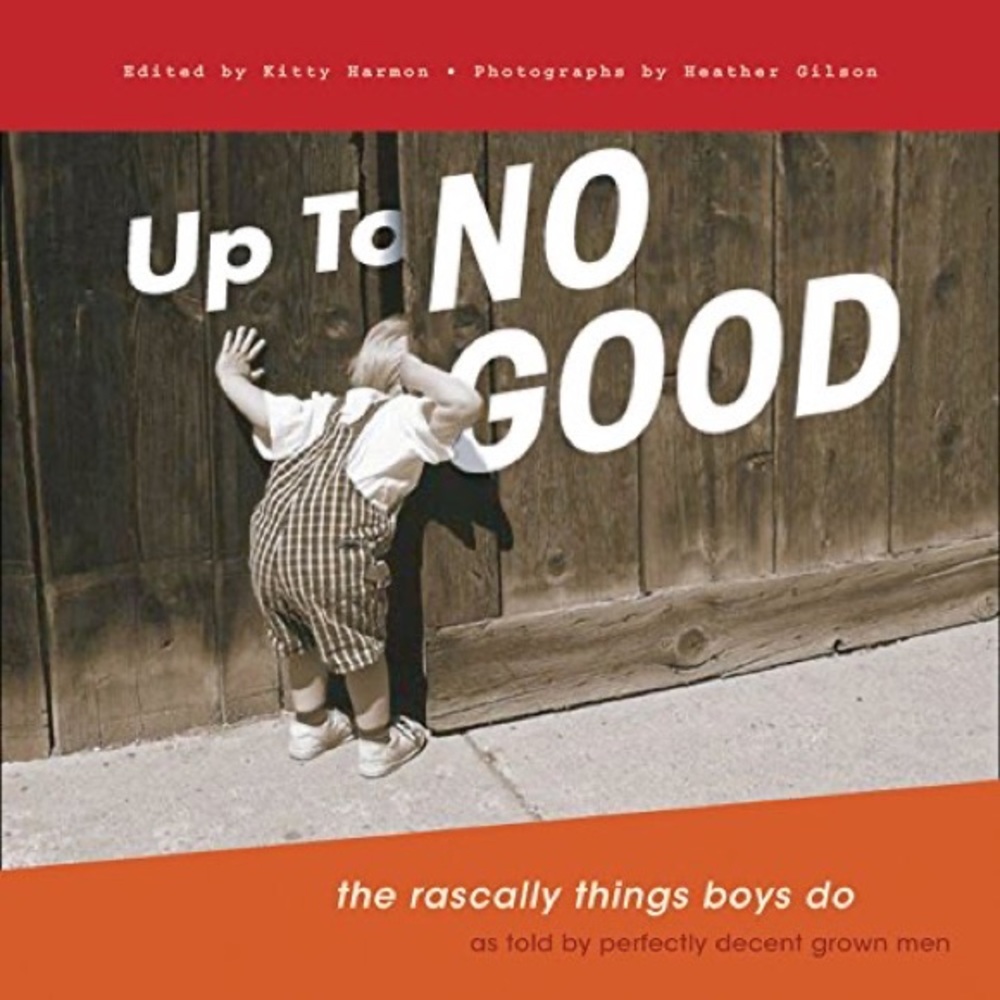 🛍️Free with Bundle🛍️ Up To No Good Book